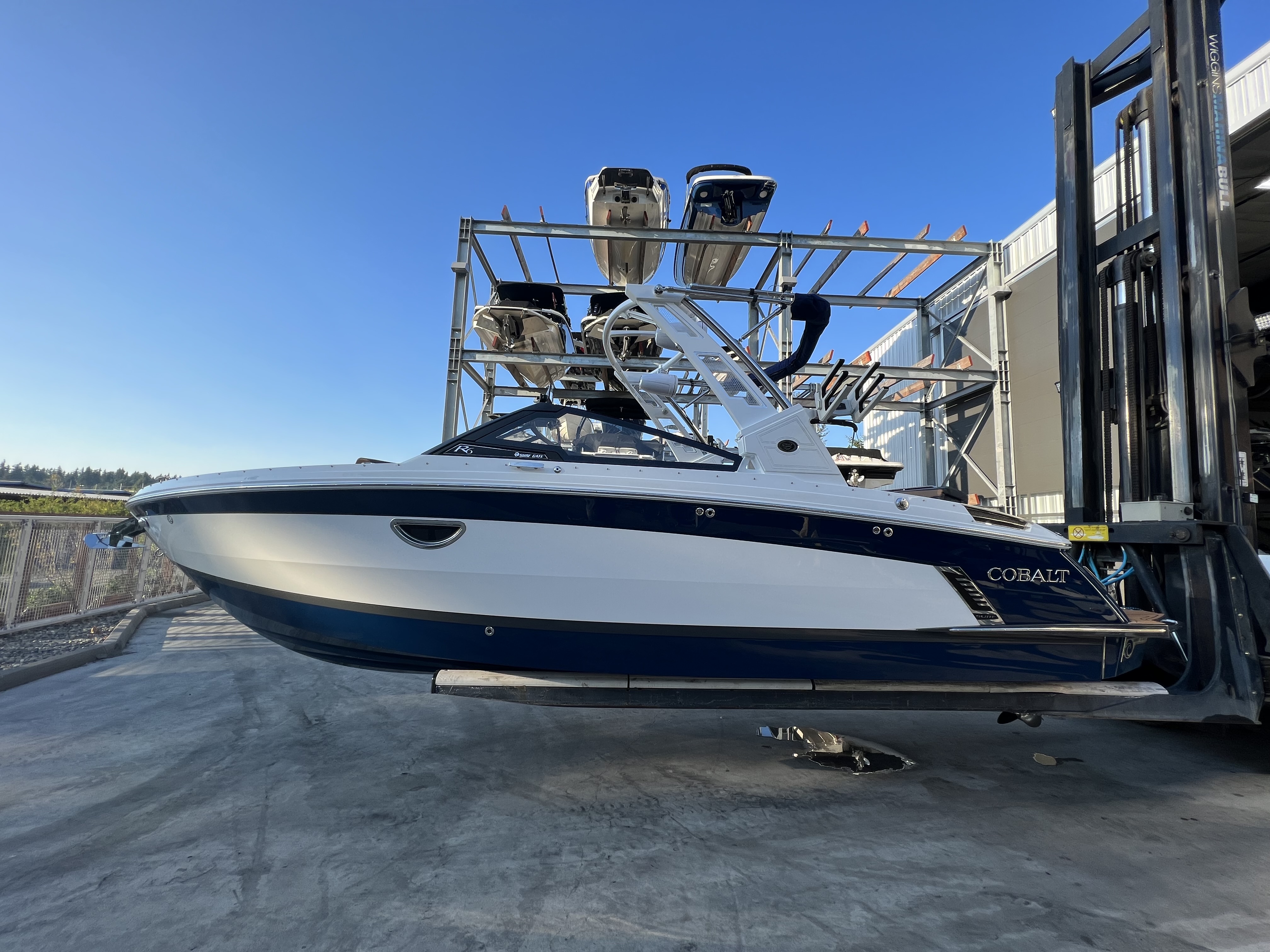 Cobalt R6 Surf 2024