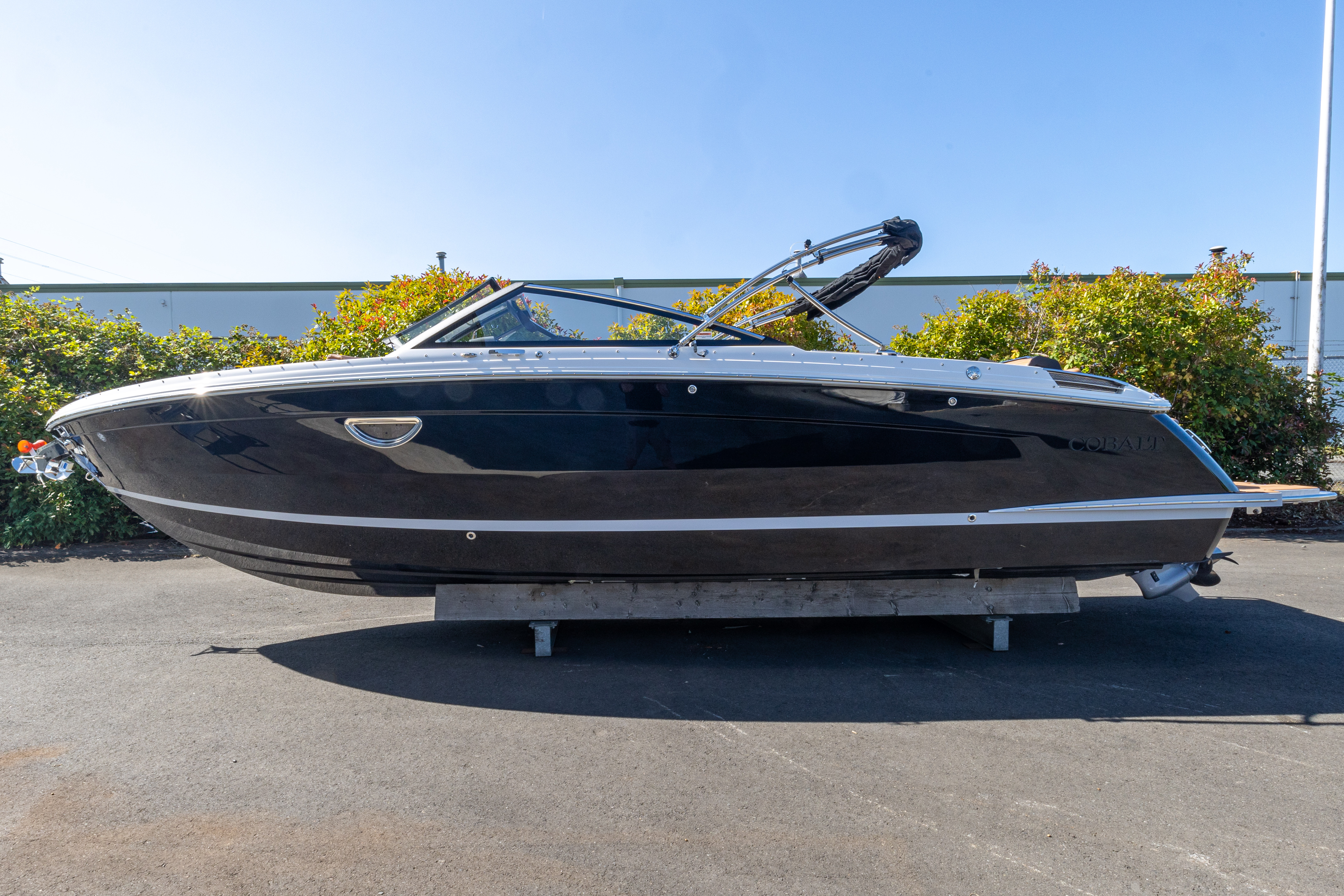 Cobalt R8 2024
