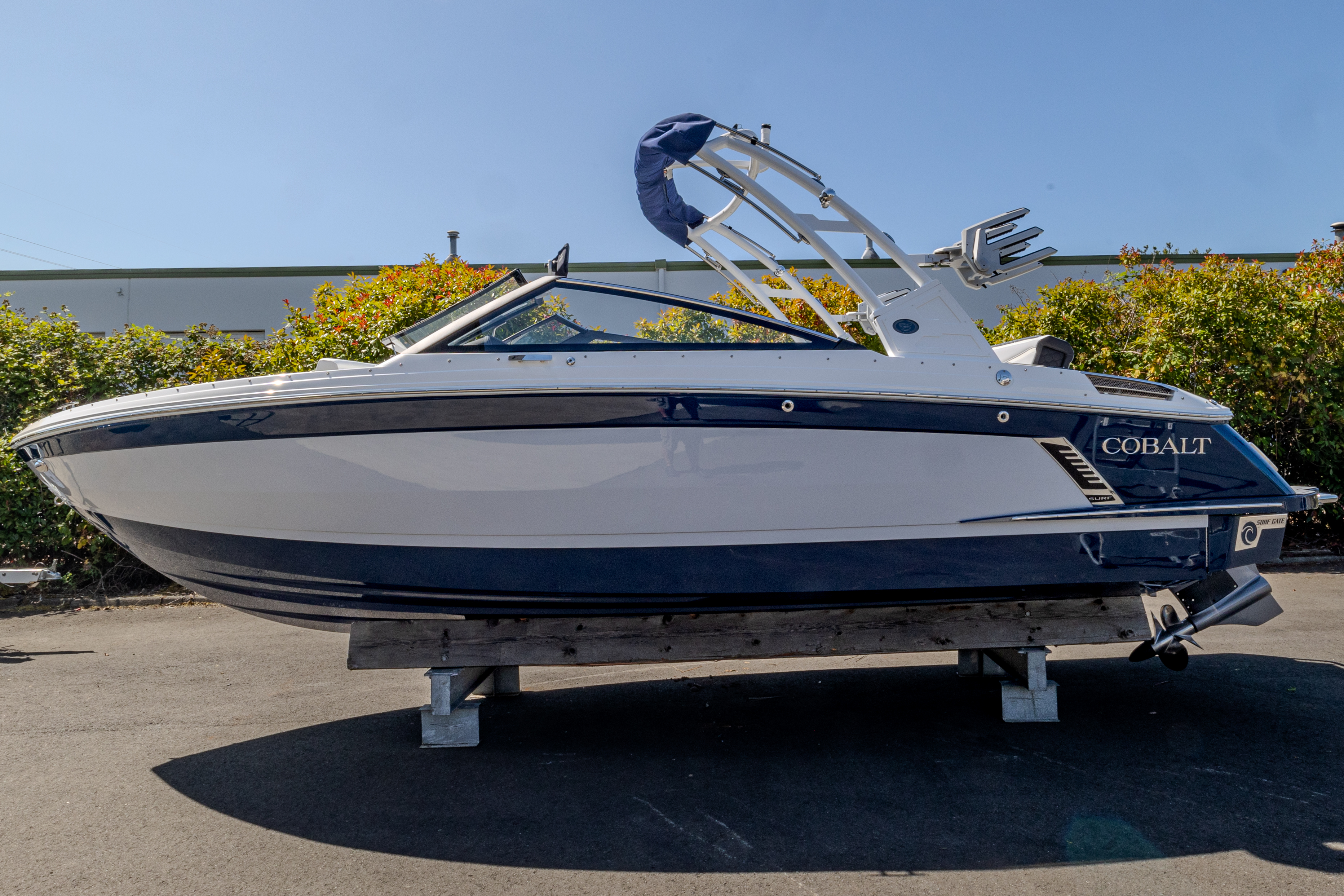 Cobalt R4 Surf 2024