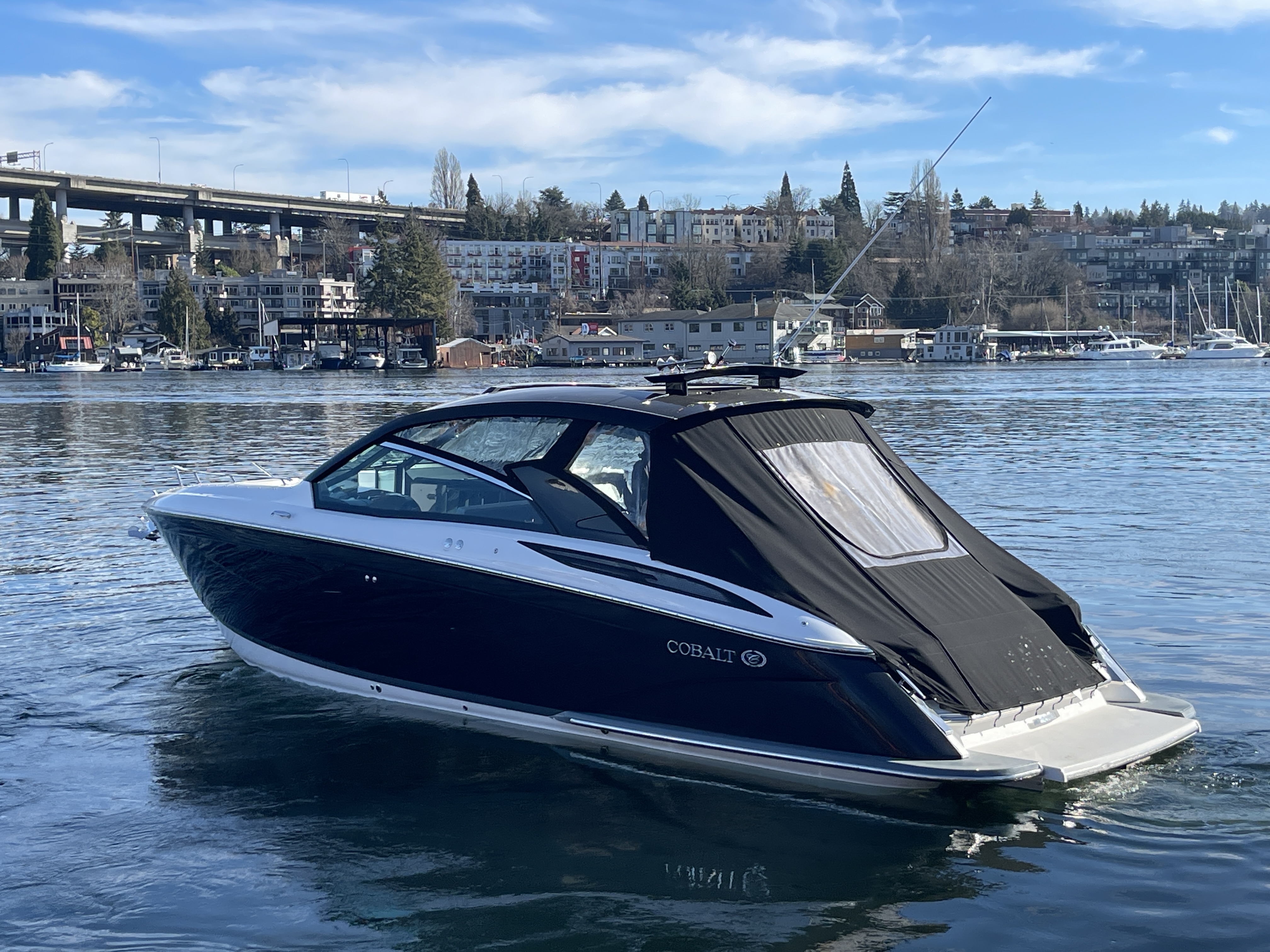 2019 Cobalt A36-12