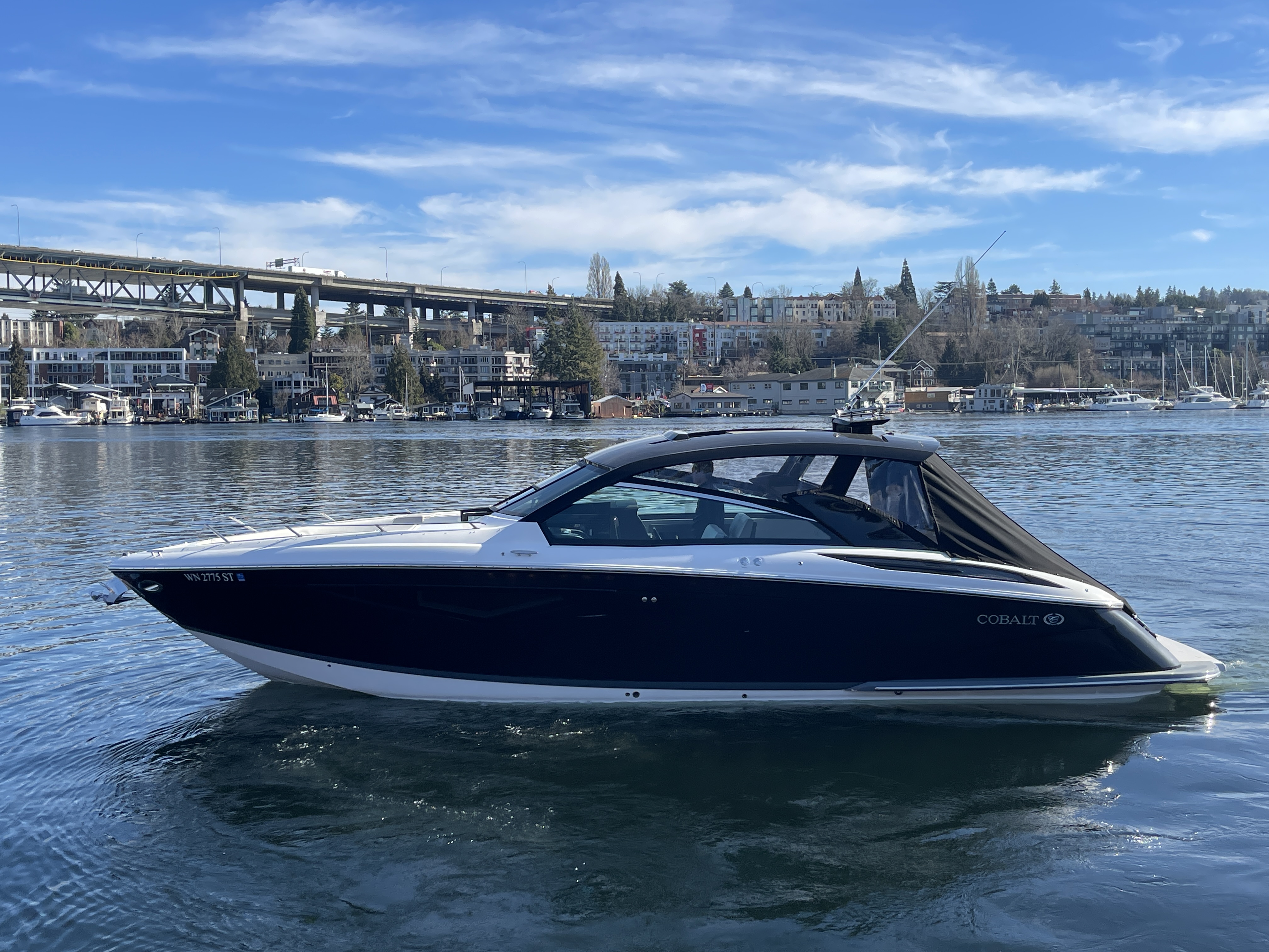 Cobalt A36 2019