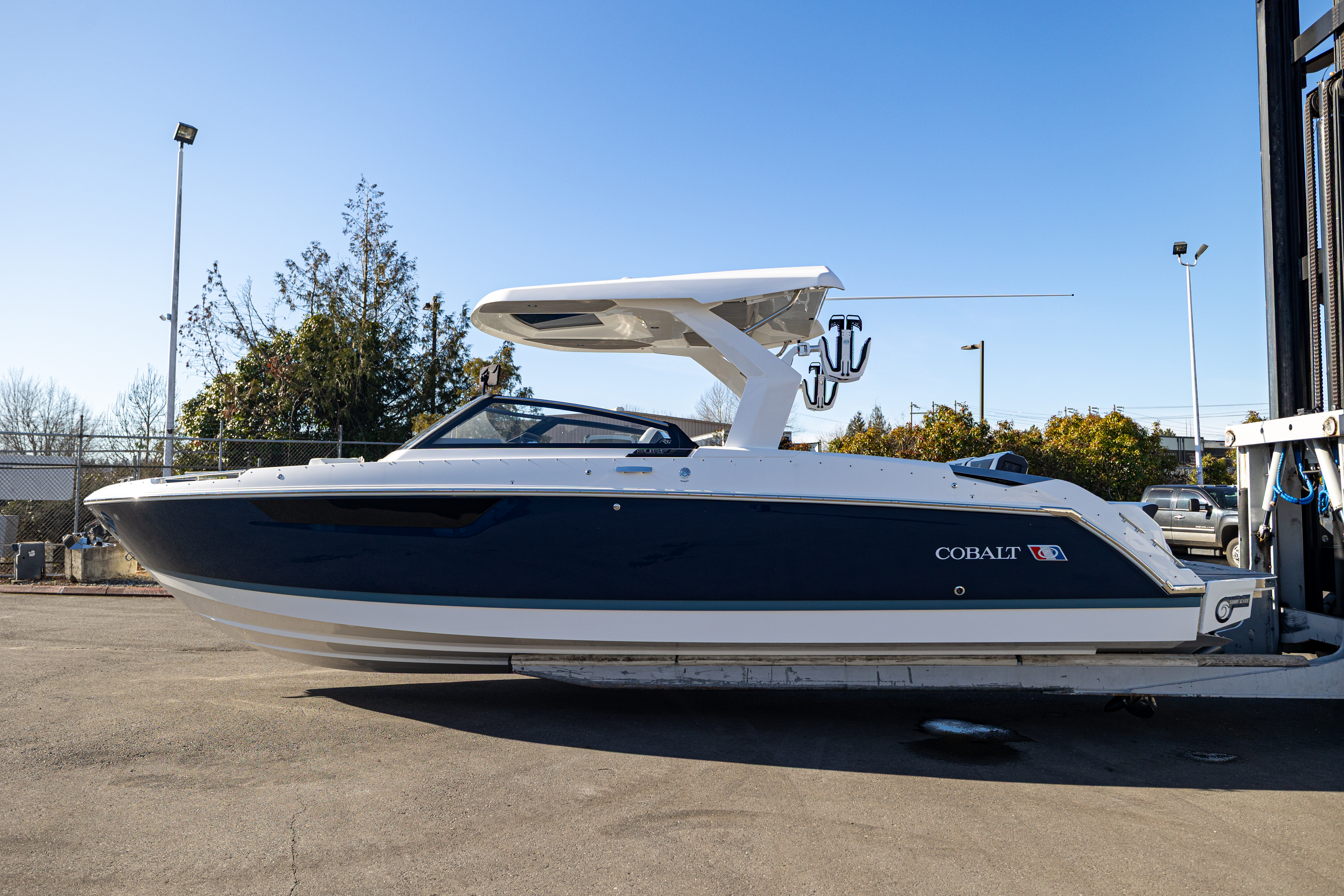 Cobalt R31 Surf 2025