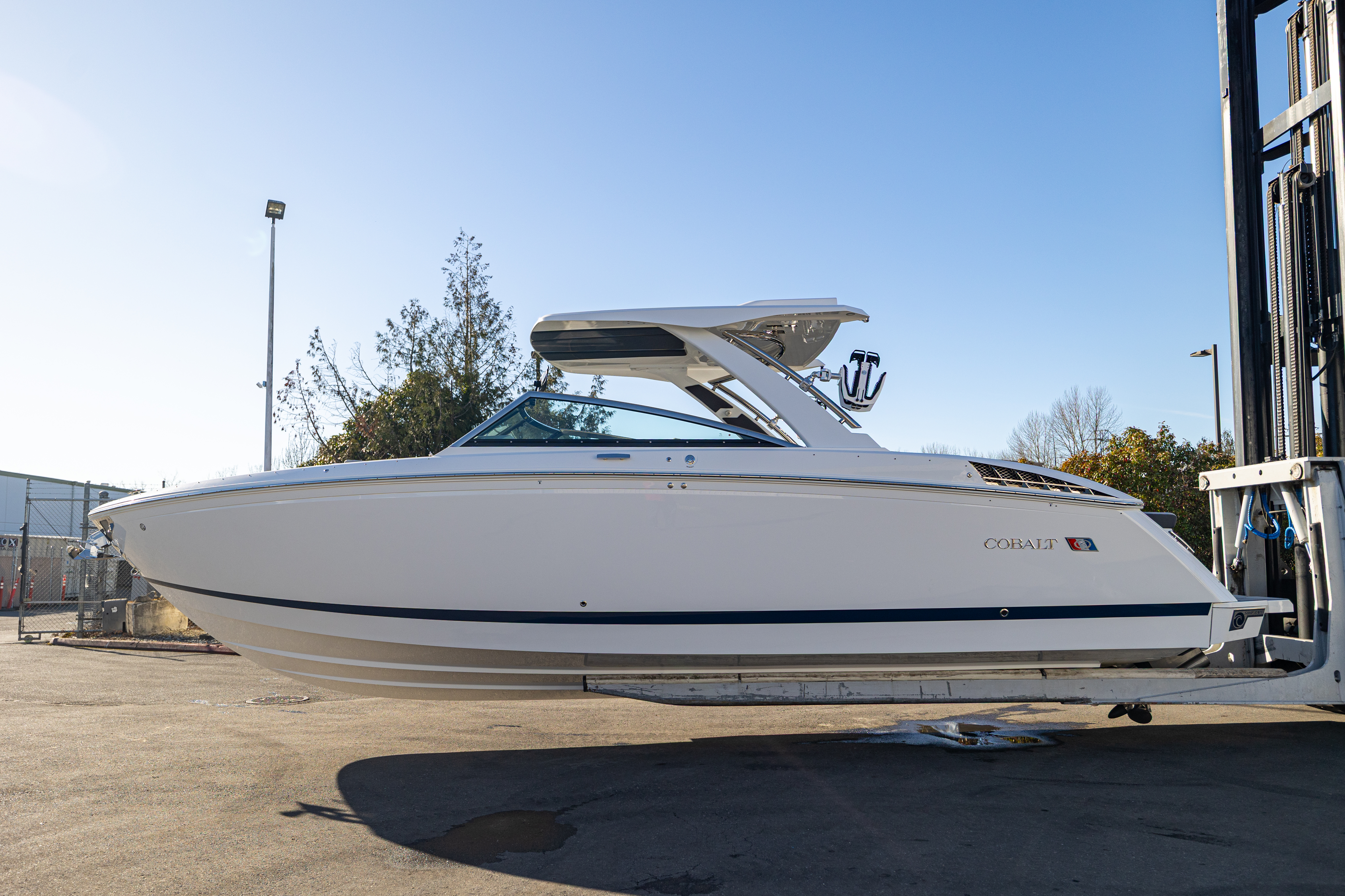 Cobalt R33 Surf 2025