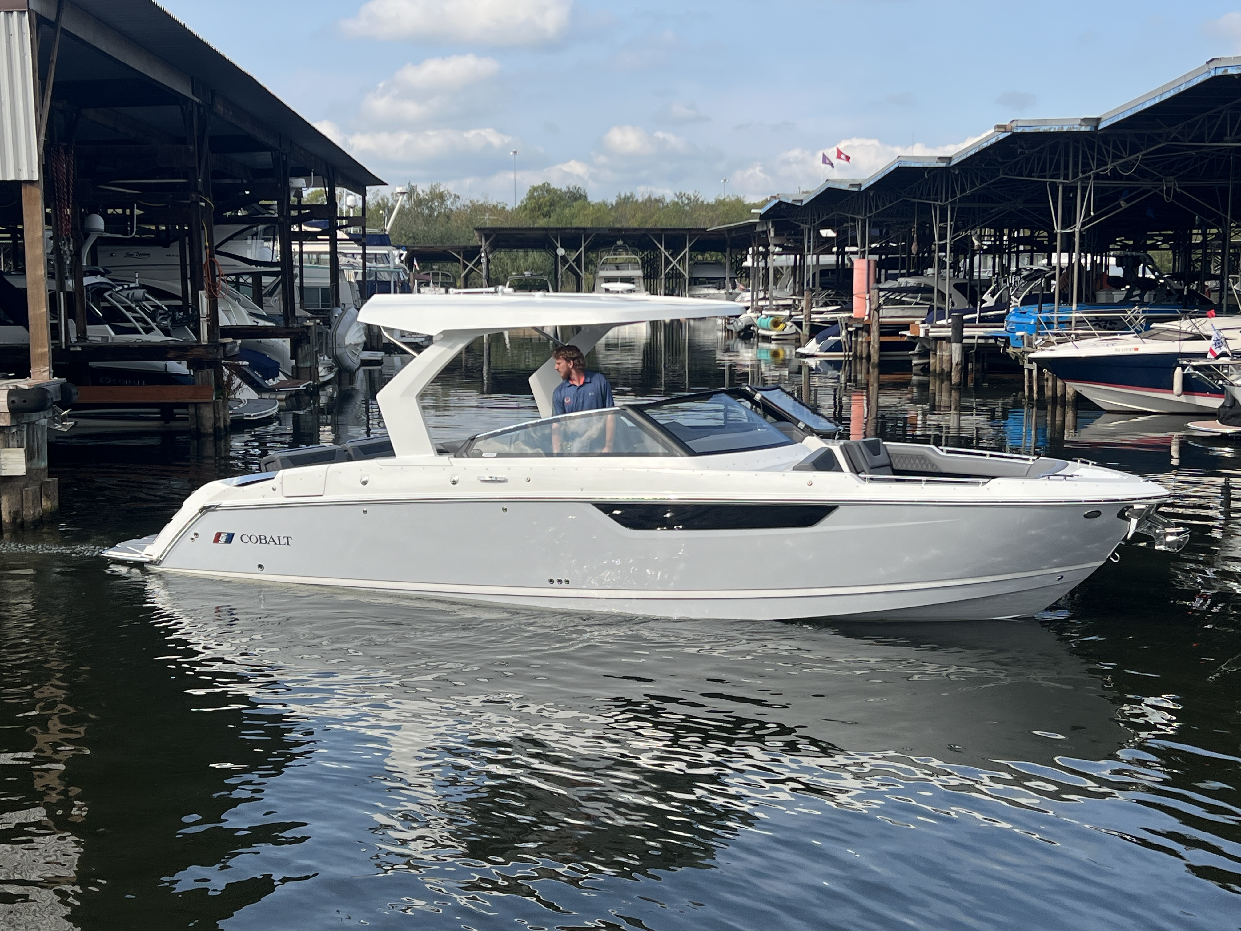 Cobalt R31 2026