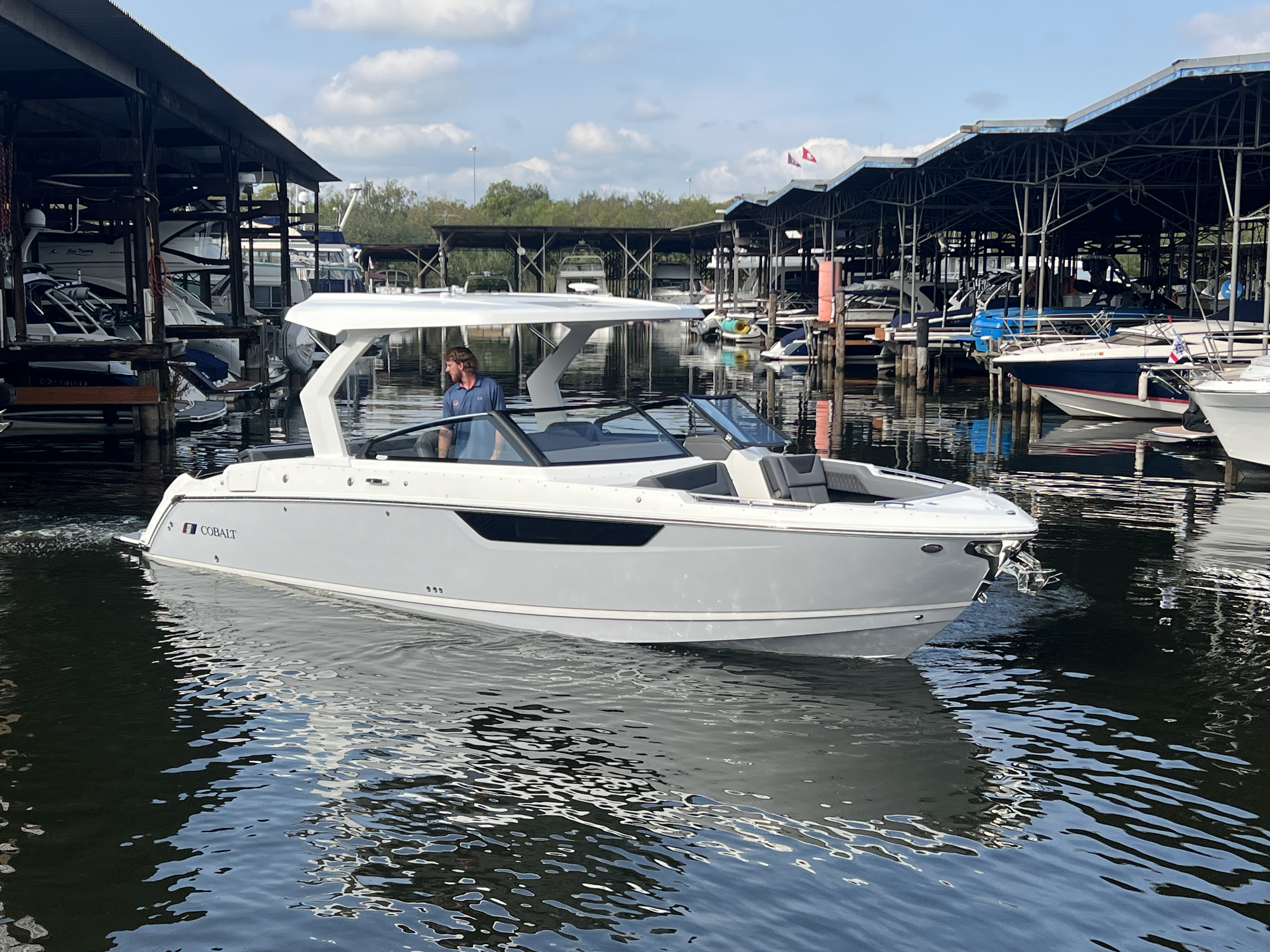 Cobalt R31 2026-3