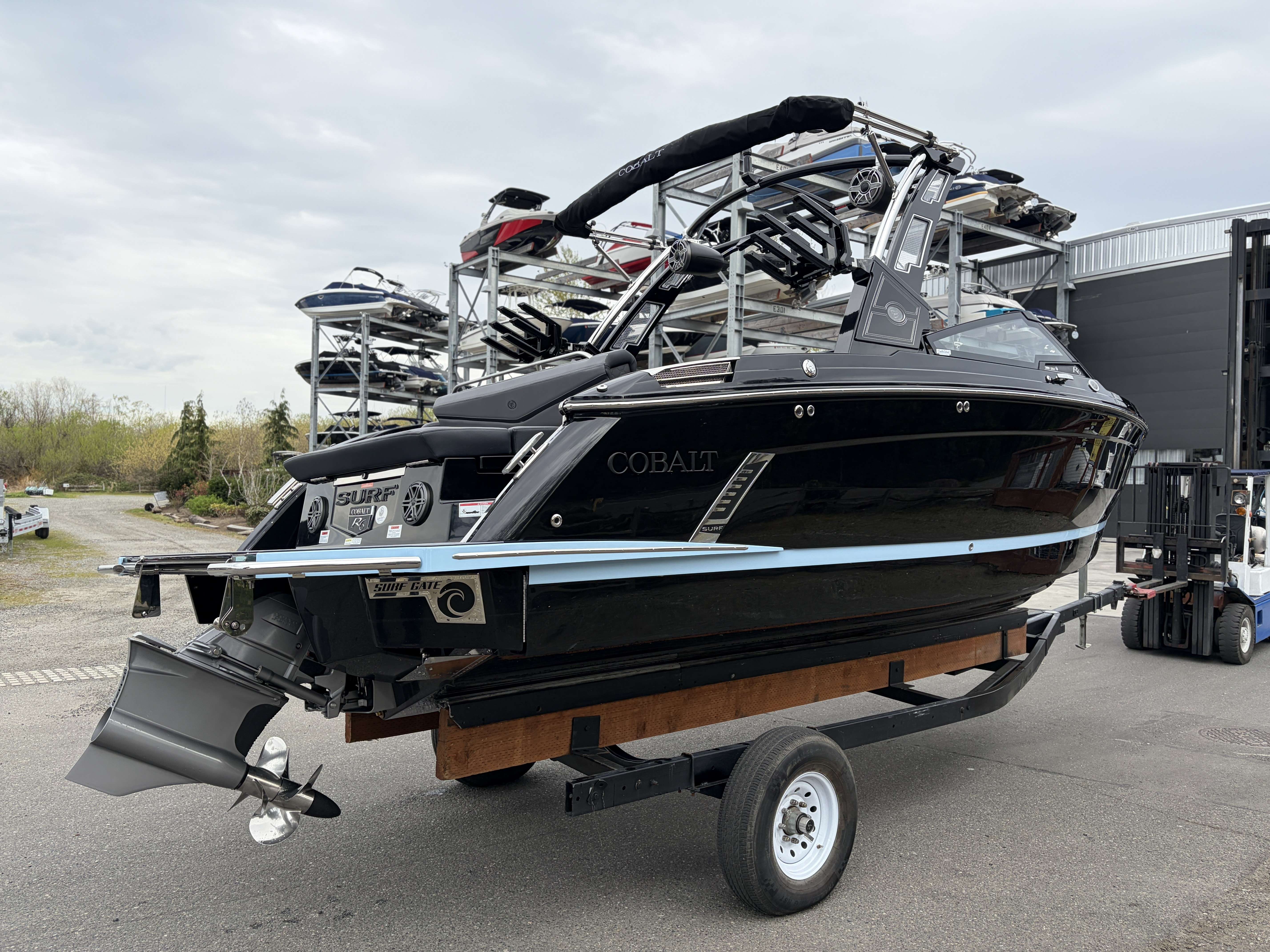 Cobalt R6 Surf 2026-6