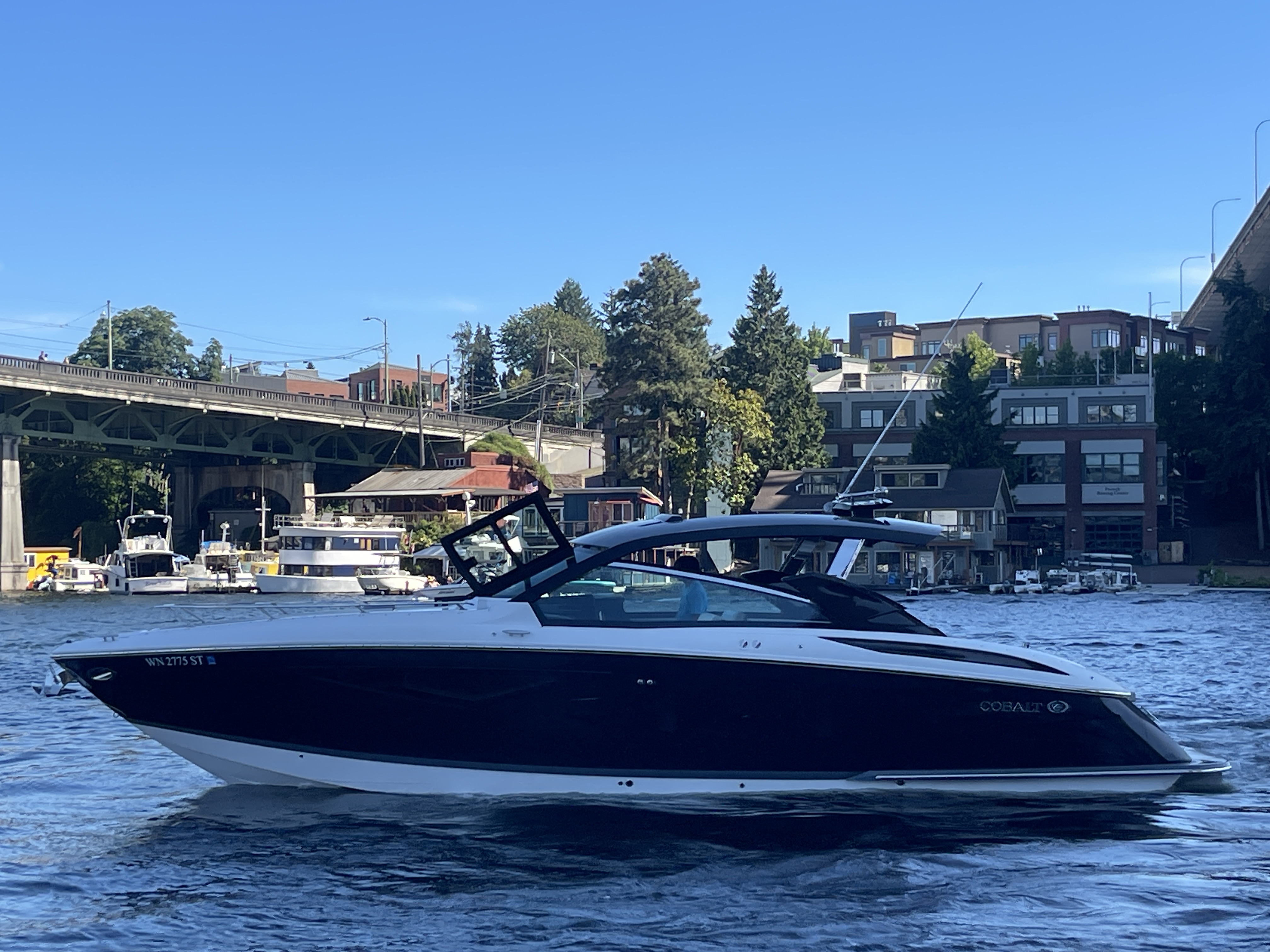 2019 Cobalt A36
