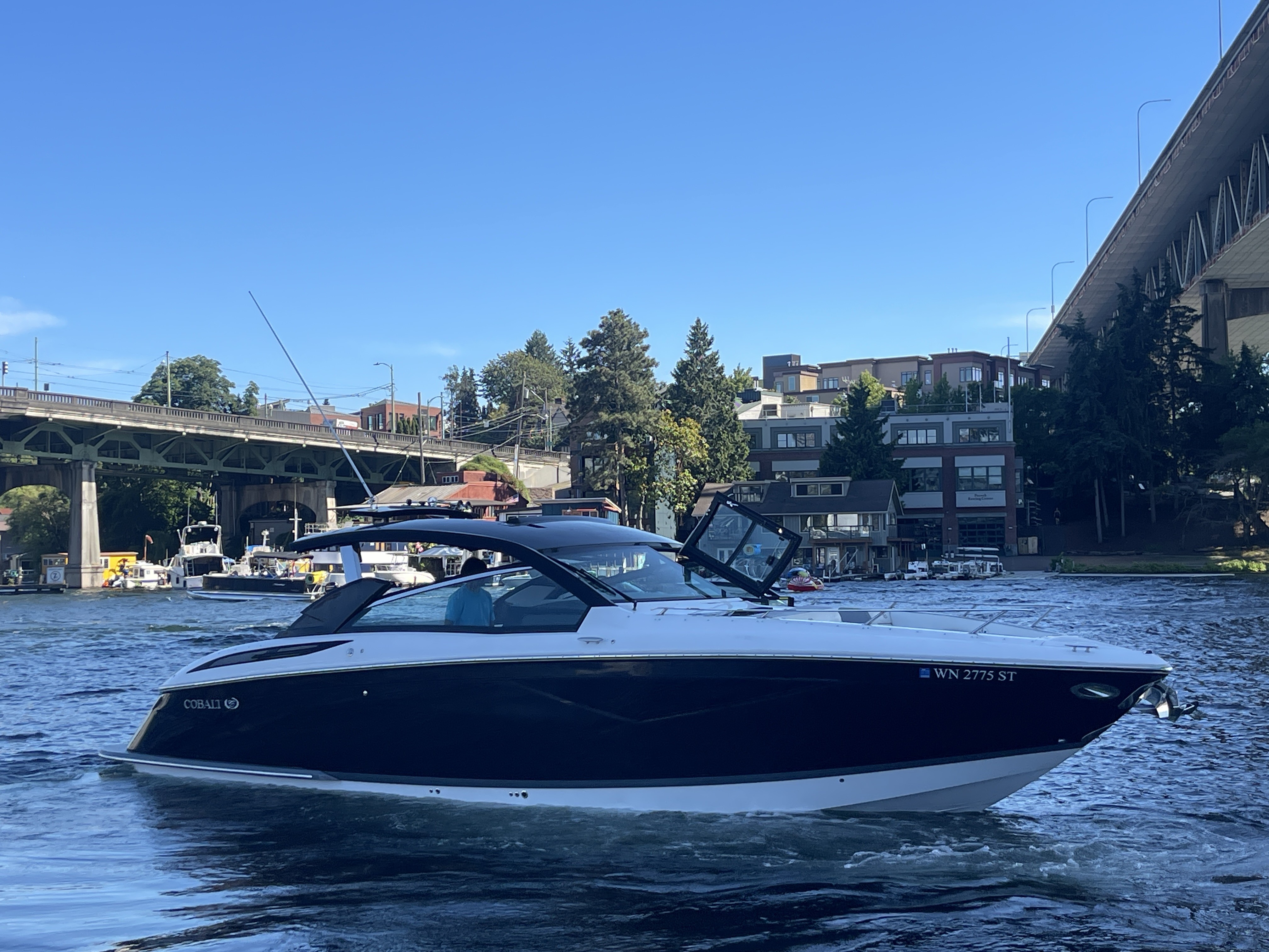 2019 Cobalt A36-6
